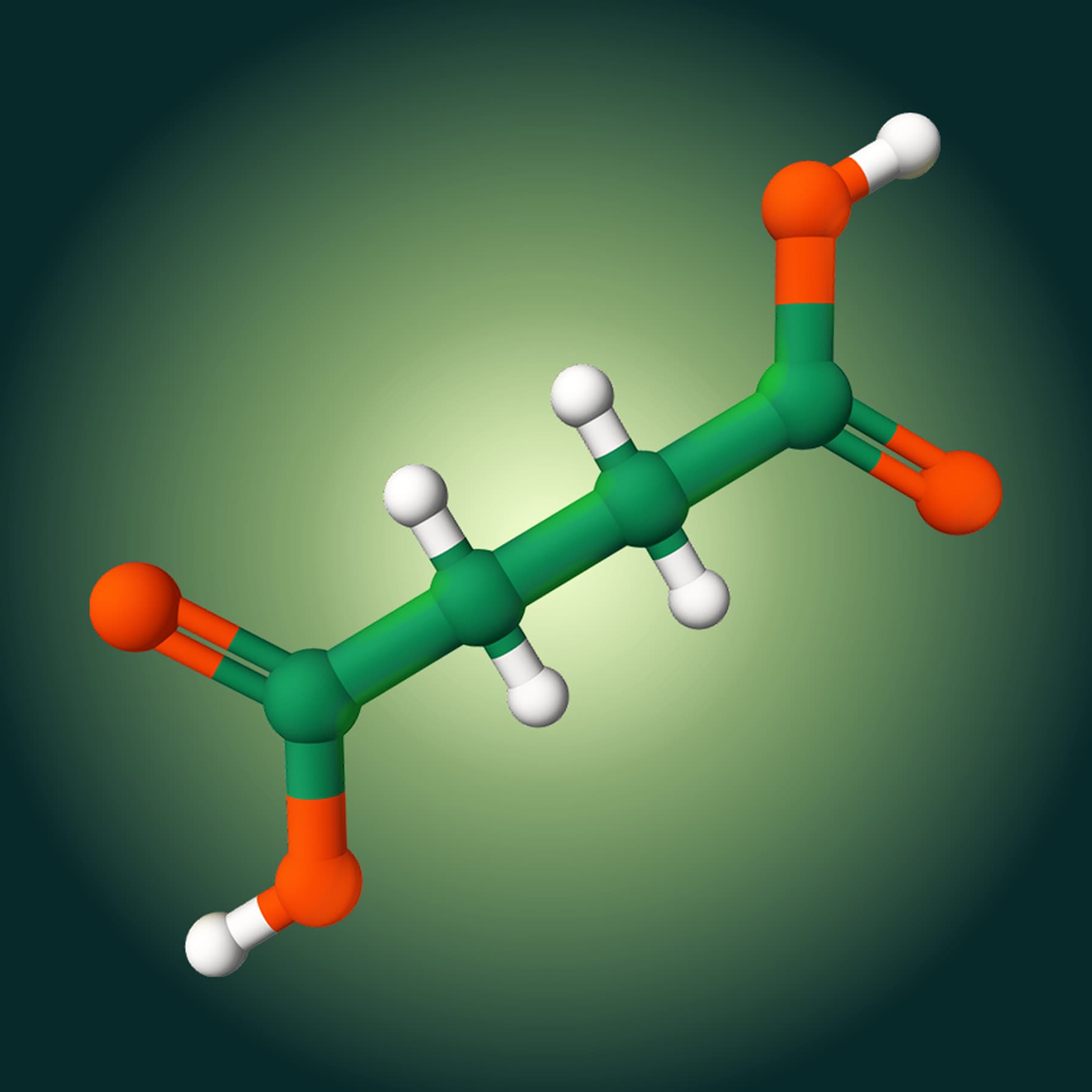 Succinic Acid